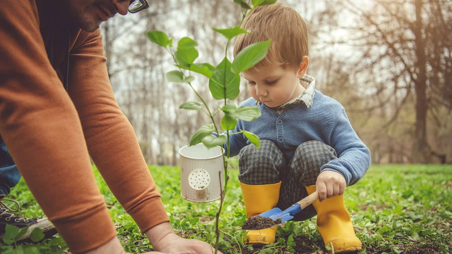 Family planting tree on Arbor day in springtimebor day in springtime