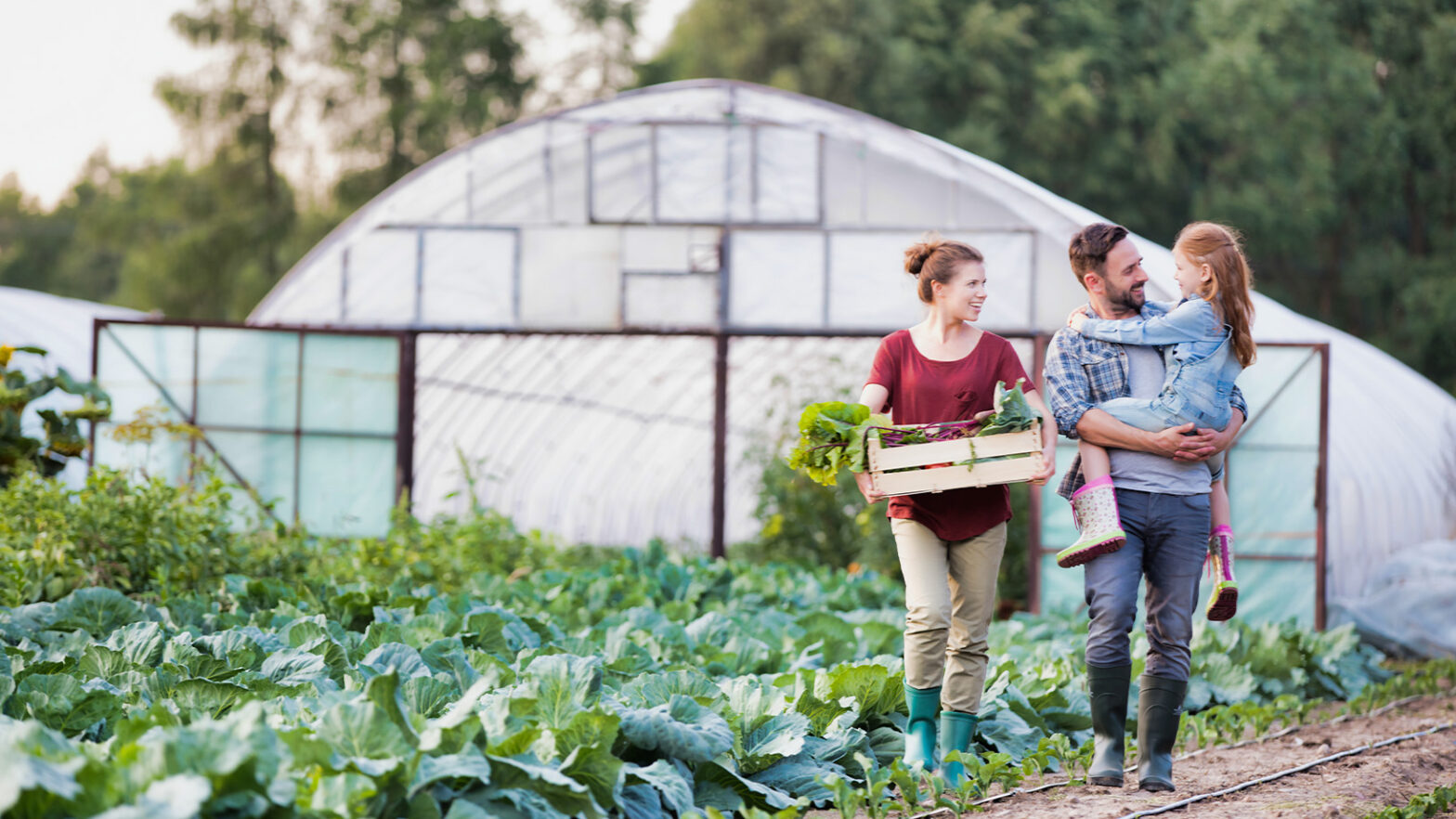 A family of three in a vegetable garden, with a greenhouse behind them. The father carries the daughter, and the mother holds a crate.